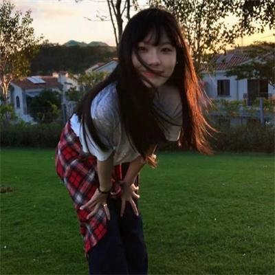 真相半白